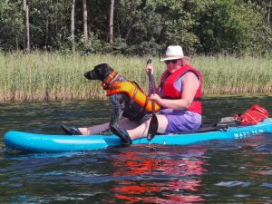 Cilvēks ar glābšanas vesti sēž uz SUP dēļa un airē pa mierīgu ūdenstilpi, priekšā sēž suns ar oranžu drošības vesti. Fonā redzama niedru josla un mežs pie krasta, vasarīga diena dabā.