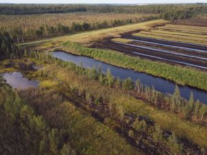 Gaisa fotogrāfija ar kūdras ieguves teritoriju un daļēji atjaunotu purva ainavu – redzami ūdens kanāli, mitrāji, veģetācija un kūdras lauki ar regulārām joslām, apkārt meža masīvs.