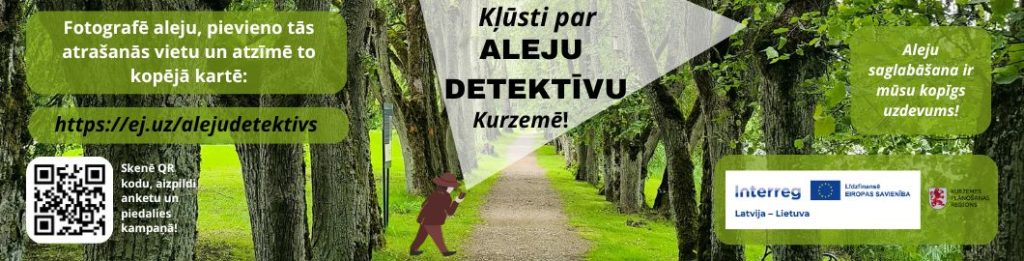 Aleja ar simetriski stādītiem kokiem un gājēju celiņu, virsū informatīvs aicinājums kļūt par aleju detektīvu Kurzemē, pievienot aleju kartē un skenēt QR kodu. Redzami Interreg un ES logotipi.