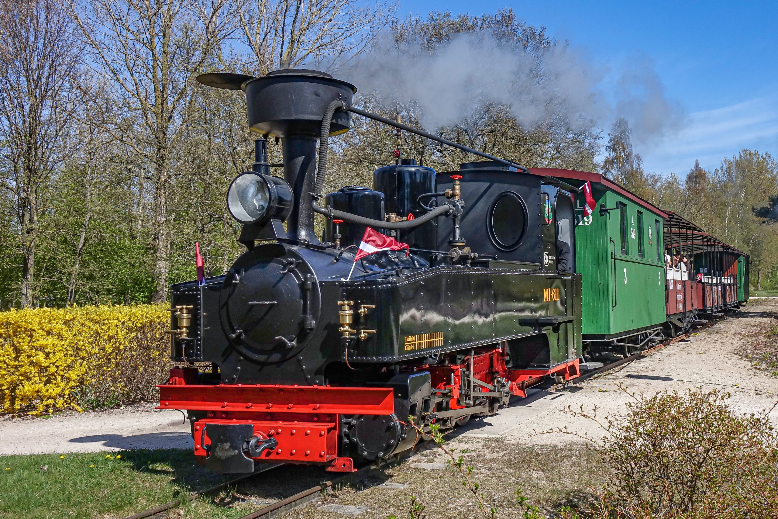 Ventspils mazbānītis – vēsturiska tvaika lokomotīve ar pasažieru vagoniem kursē pa šaursliežu dzelzceļu. Attēlā redzams vilciens kustībā, no skursteņa paceļas tvaiks, apkārt – pavasarīga ainava.