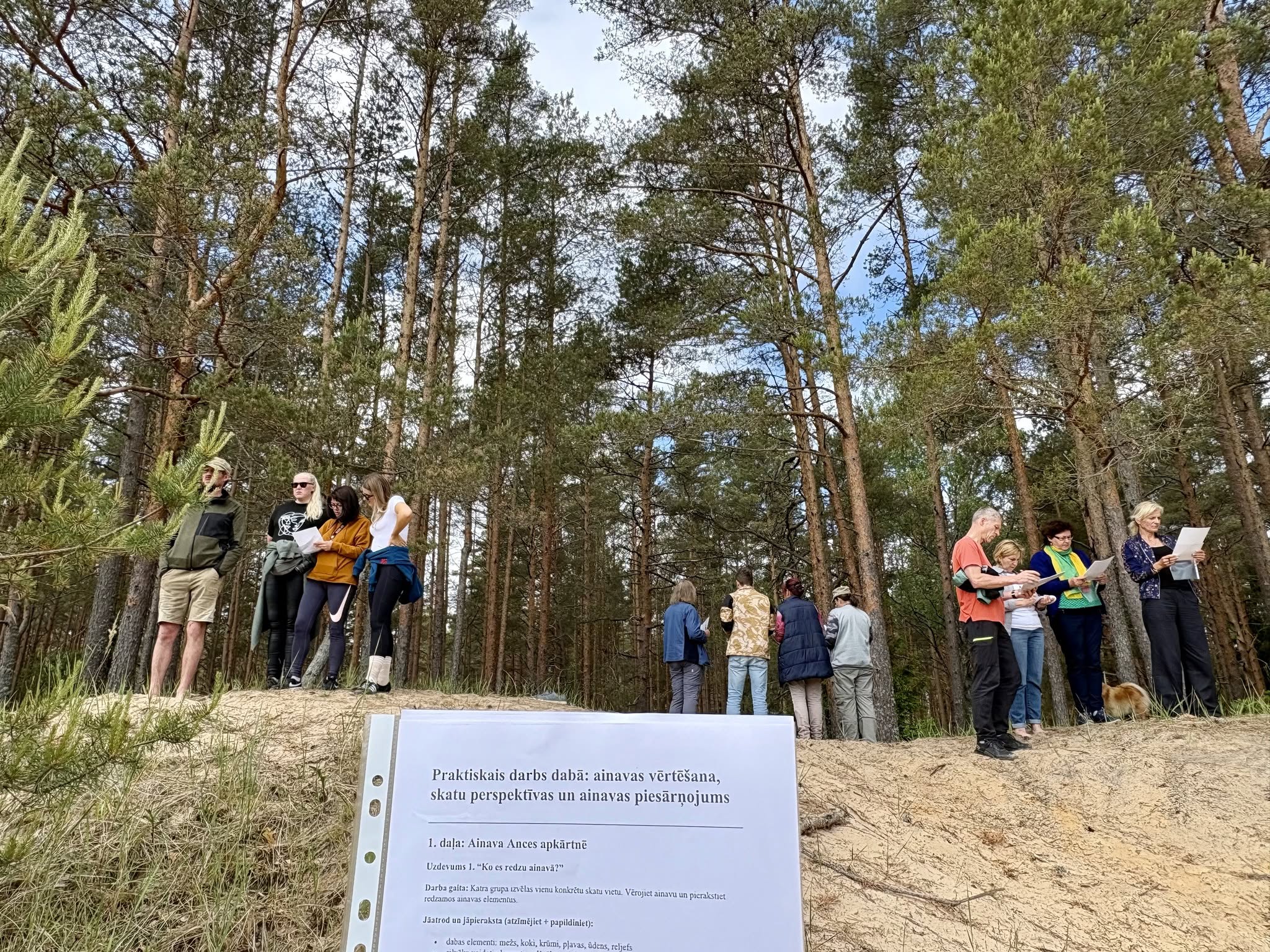 Darbnīcas dalībnieki Ances kāpās veic praktisku ainavas vērtēšanas uzdevumu priežu meža vidē.