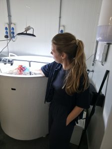 Sieviete zilā cimdā tur sarkano aļģu paraugu virs izgaismotas apaļas ūdens tvertnes laboratorijas telpā.