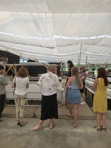 Apmeklētāju grupa klausās stāstījumu par apaļām audzēšanas tvertnēm un tehnisko aprīkojumu zem plaša auduma pārsega.